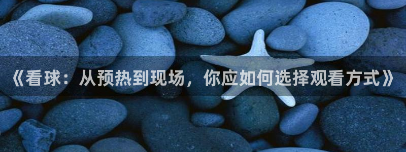 《看球：从预热到现场，你应如何选择观看方式》