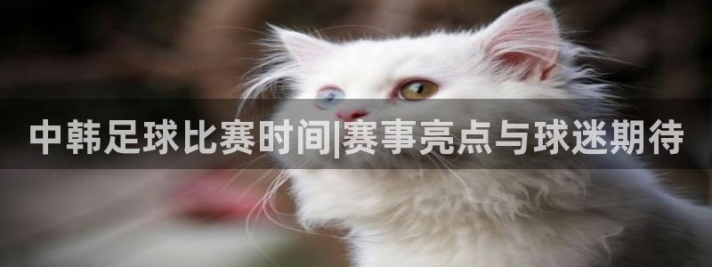 中韩足球比赛时间|赛事亮点与球迷期待