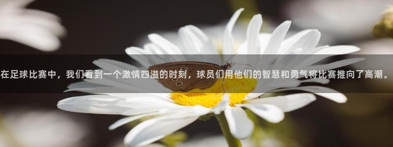  在足球比赛中，我们看到一个激情四溢的时刻，球员们用他们的智慧