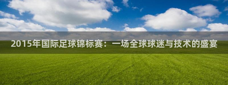  2015年国际足球锦标赛：一场全球球迷与技术的盛宴