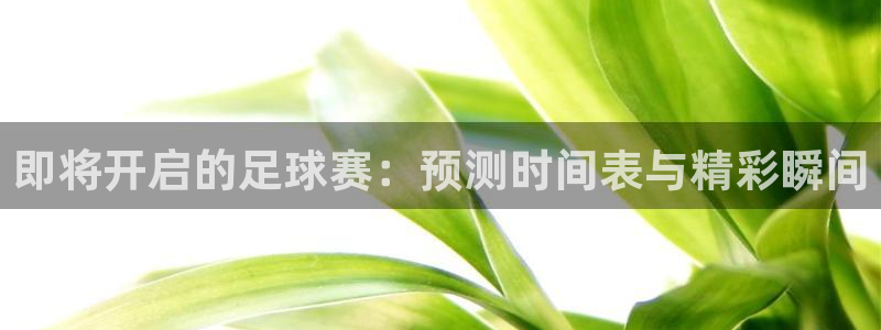  即将开启的足球赛：预测时间表与精彩瞬间