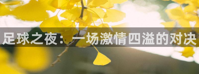  足球之夜：一场激情四溢的对决