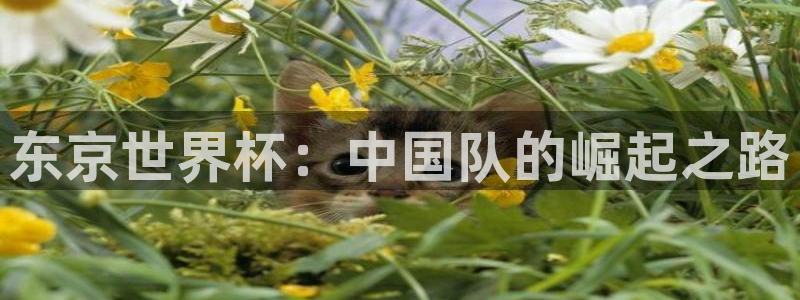 东京世界杯：中国队的崛起之路