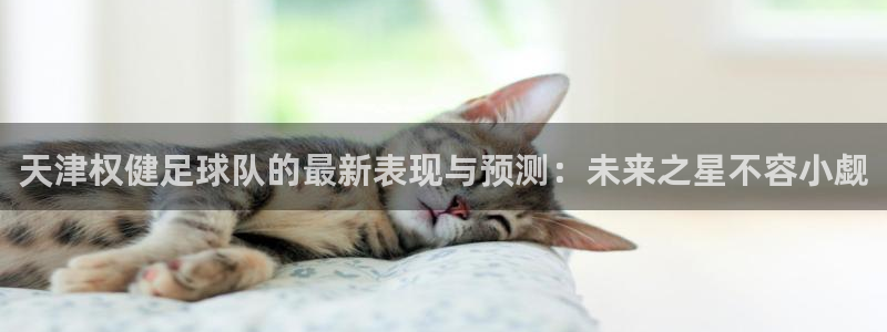  天津权健足球队的最新表现与预测：未来之星不容小觑