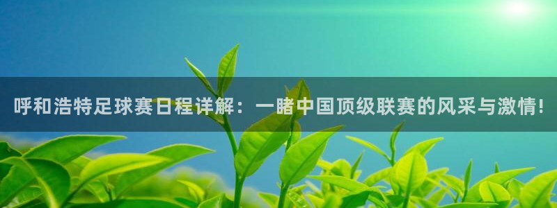 呼和浩特足球赛日程详解：一睹中国顶级