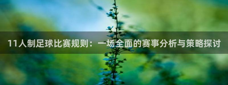 11人制足球比赛规则：一场全面的赛事
